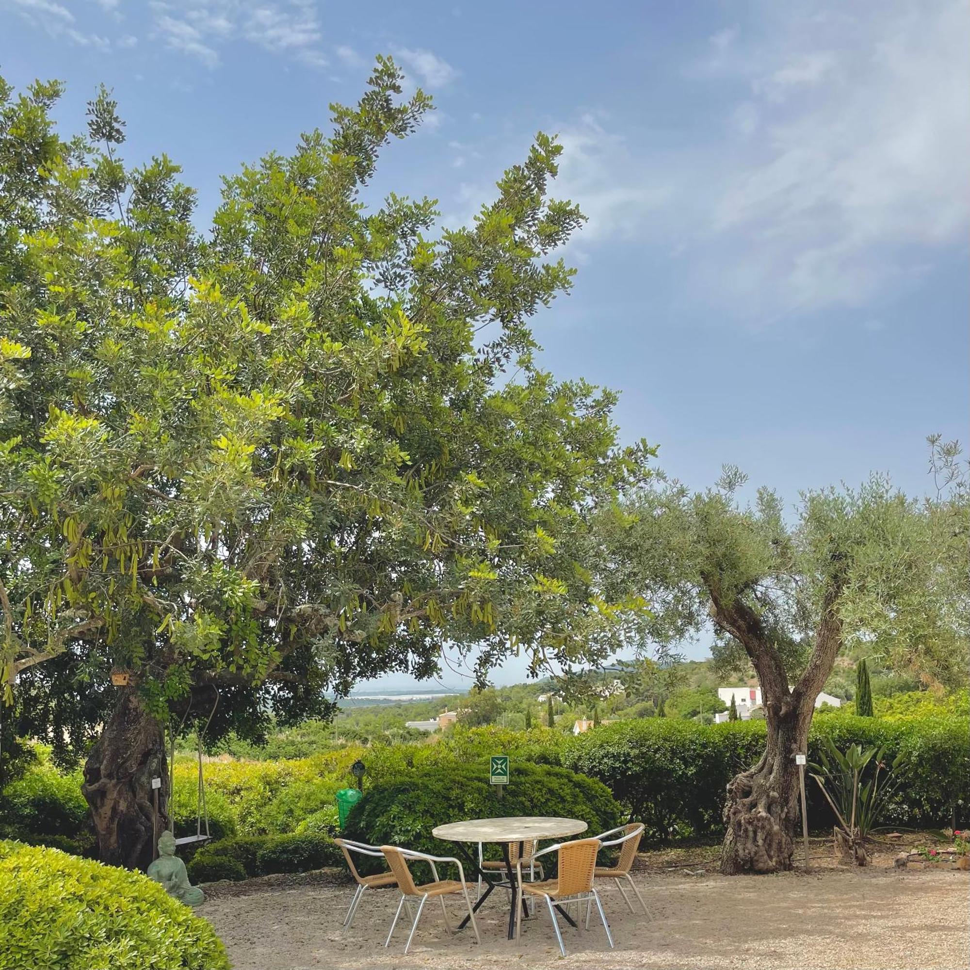 Hotel Rural Quinta Do Marco - Nature & Dining Tavira Ngoại thất bức ảnh