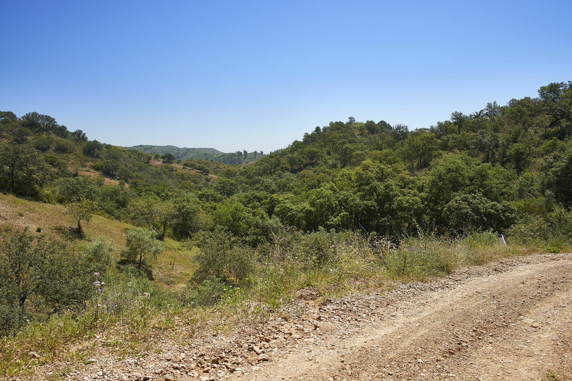 Hotel Rural Quinta Do Marco - Nature & Dining Tavira Ngoại thất bức ảnh