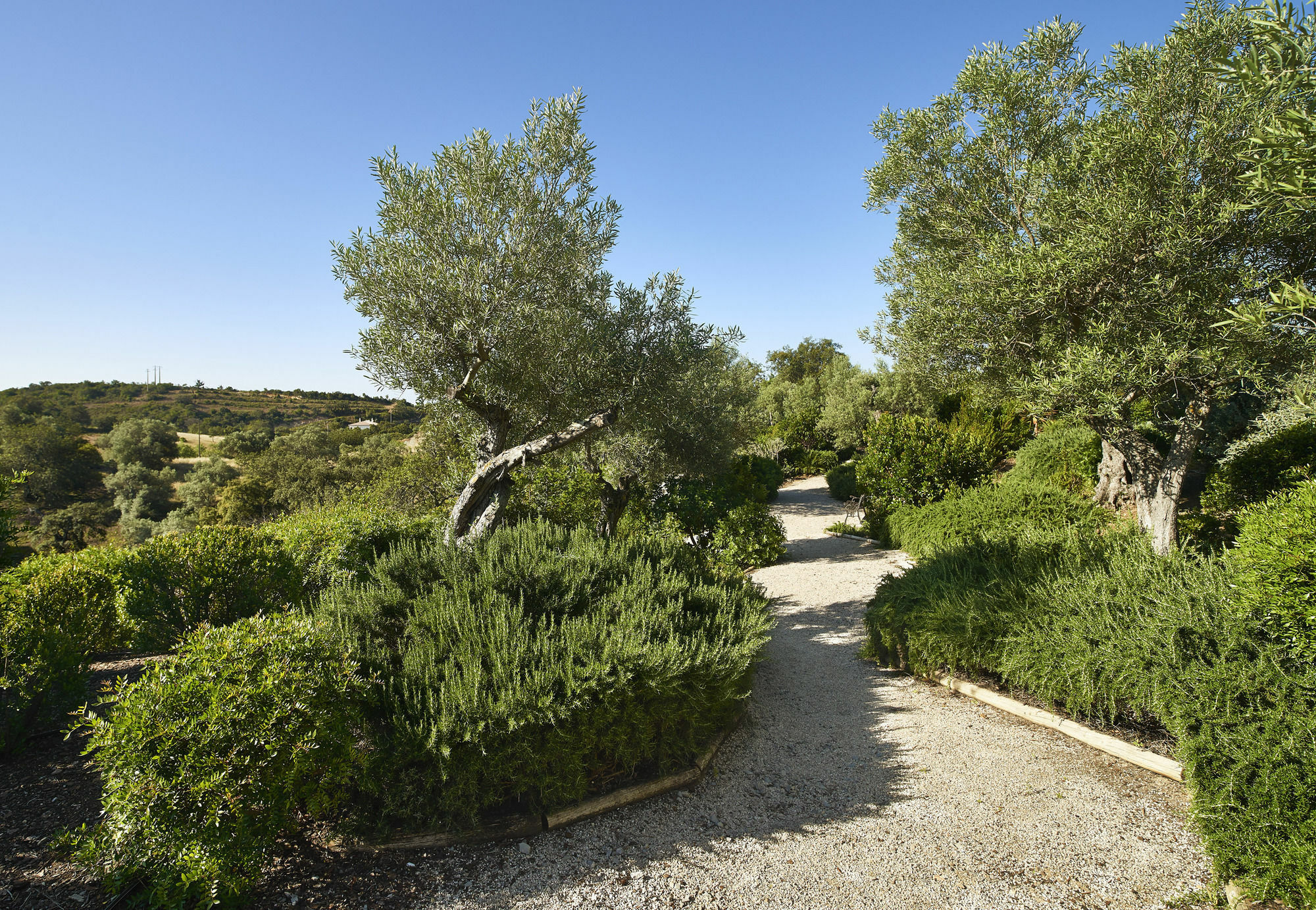 Hotel Rural Quinta Do Marco - Nature & Dining Tavira Ngoại thất bức ảnh